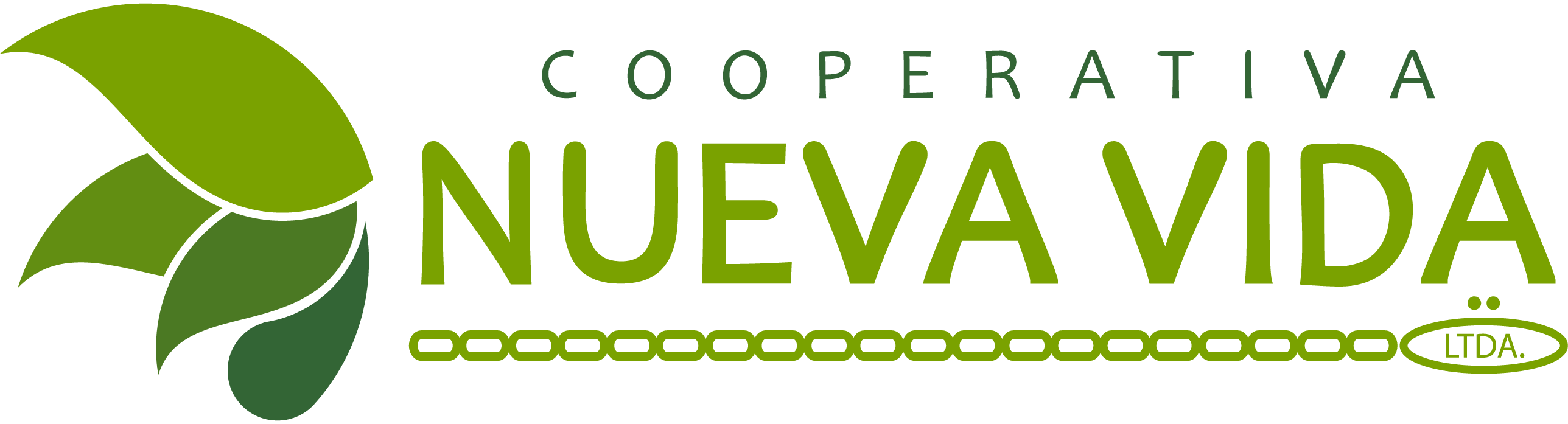Logo oficial CNV-06